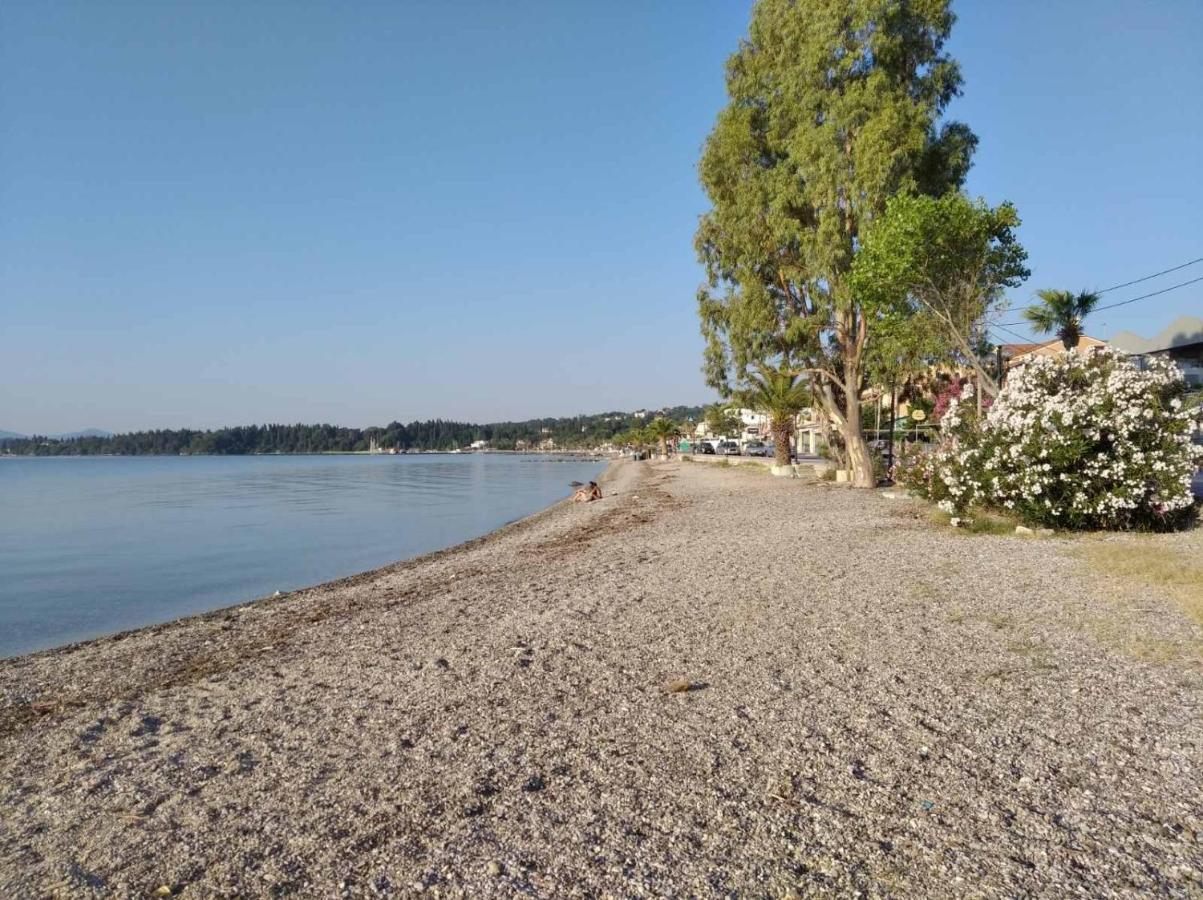 Studios Pantelis Corfu Ypsos Eksteriør bilde